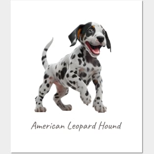 American Leopard Hound Posters and Art